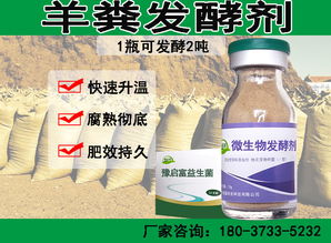 羊粪怎么发酵有机肥 发酵一吨要多少钱
