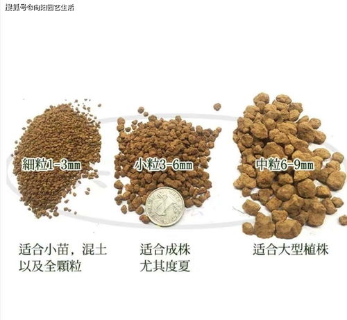 养多肉必备营养土,6种土,多肉常用,了解作用以及使用方式