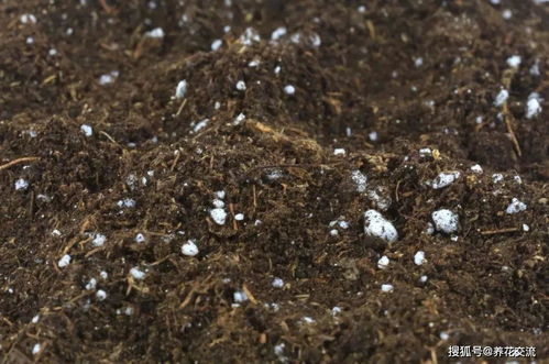 自己给植物配置盆栽土,这里有一份通用的教程