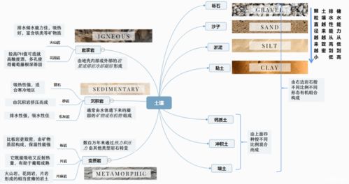 土壤对葡萄酒风味到底有没有影响