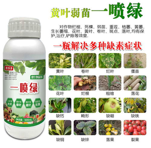 多菌灵的作用和用途