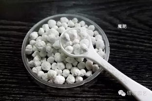 必看 关于养花用土,一次科普,终身受益