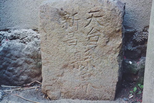 天台有个 虎狼关 ,一脚踏两县,你认识吗