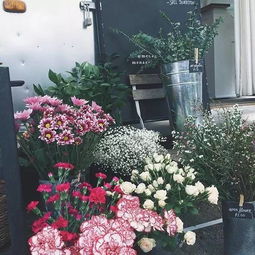 凯西的移动花店