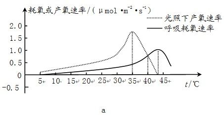 图a表示温度对某种植物的光合作用与呼吸作用的影响 以测定的产氧和耗氧速率为指标 图b表示脱落酸对植物气孔的张开度 气孔一般是由两个保卫细胞组成的 的调节机制 请作答