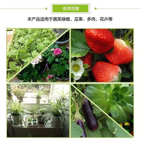 花泥营养土通用型大包多肉土专用多肉植物营养土种植土绿萝土花土