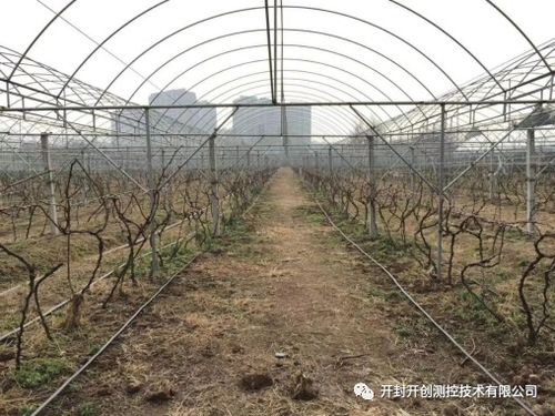 水肥一体机智能灌溉系统