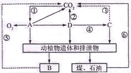 土壤动物的类群组成和数量是评价农田生态环境的重要指标.下图是同一地区两块使用不同肥料的农田中每平方米土壤中4类土壤动物物种数和密度调查数据. 1 土壤中小动物类群的丰富度调查中