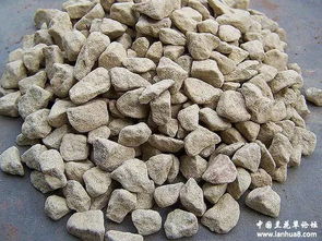 被忽视的兰花植料添加剂 沙 的作用与妙用