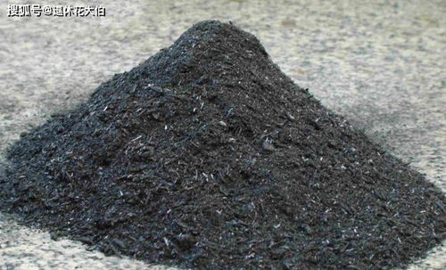 养花撒点草木灰 花生粕,不用施肥植物也能长爆盆