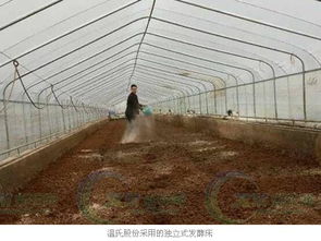 独立式发酵床 投资4万元建一个有机肥加工厂