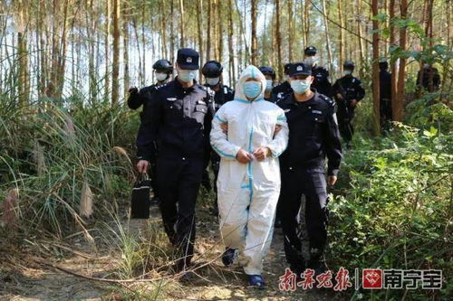 南宁一男子砍伐自己承包的桉树林却被刑拘 这是怎么回事