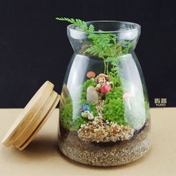屿路生活 限量正品 苔藓微景观 苔藓生态瓶 堆糖,美好生活研究所
