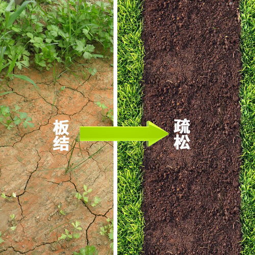 国盛松土精土壤改良剂疏松土壤破除板结保水保肥剂免深耕松土神器