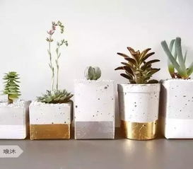 水泥DIY花盆长这样