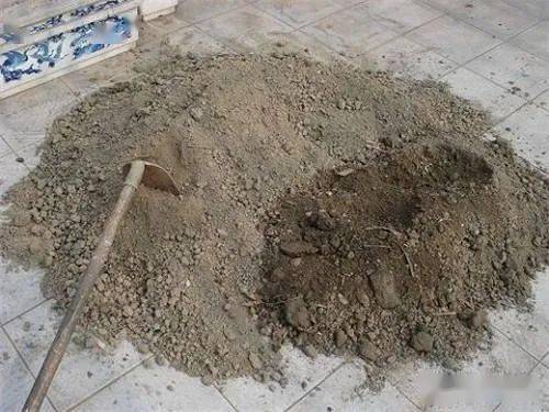 养花居然分不清各种花土,怪不得啥花你都养不好