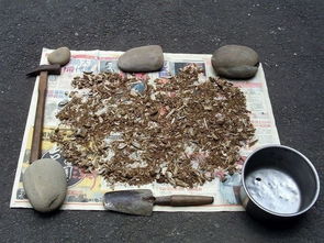 盆栽花卉加入五种自制肥料,花开不断 枝繁叶茂