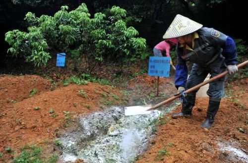 盘点花都 2023关键词 ,个个都是 流量担当