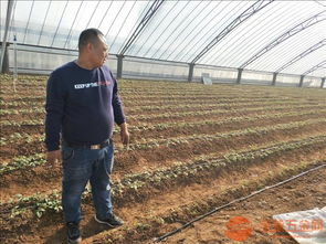 河北供应大棚滴灌管材膜下滴灌带批发