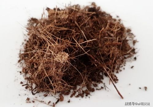 各种不同类型的盆栽植物土配制方案,养花必备,可避免植物烂根
