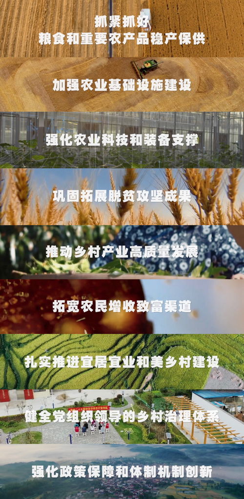 2023年中央一号文件公布