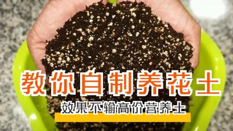 阳台种菜自制营养土,便宜又好用,种菜超级好