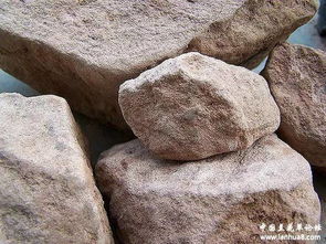 被忽视的兰花植料添加剂 沙 的作用与妙用