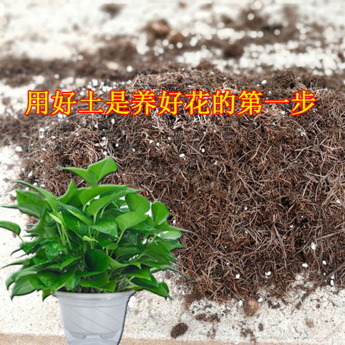 植畔绿萝盆栽植物吊兰花卉批发多肉花土营养土通用君子兰花专用土