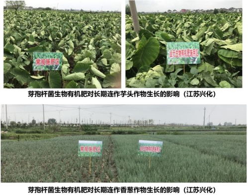 中国有机肥产业发展空间与前景巨大,政策 市场必将会对有机肥产业不断地加持