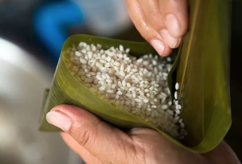 你吃过用草木灰做的粽子么 300多年历史的灰汤粽,蕴含着智慧
