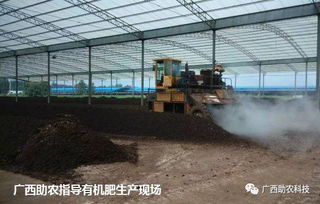 一条小型 中型有机肥生产线要多少钱 年产5000吨有机肥设备投资需要多少钱 你想知道的都在这里了