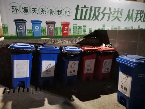 最高罚200元 明天起,深圳强制实施