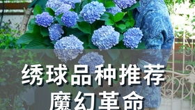 田园土种的花苗,要换成营养土来种,不好活 因为少做了一步
