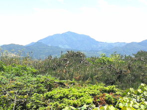 田园风光 美丽土寮