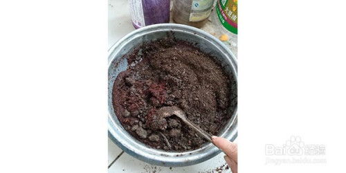 怎么用椰土种月季 