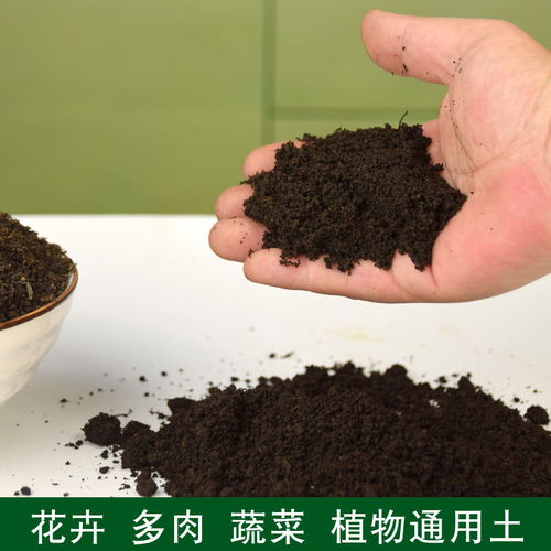长白山有机营养土通用型花土种菜土种植土肥料土黑土兰专用花土