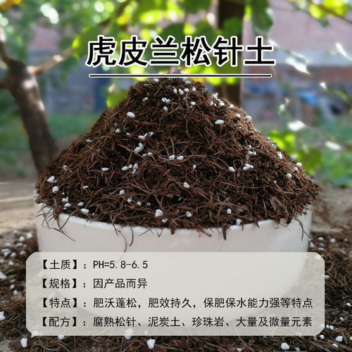 营养土花土花肥营养土花盆土种菜多肉绿萝种兰花通用养花草盆景土