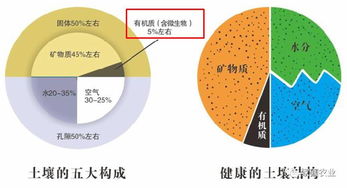看看您的土壤还有菌吗 快来围观