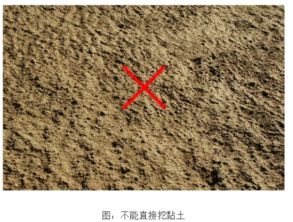 芦荟怎么种植 .用土还是沙子 搜狗问问