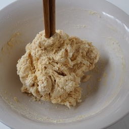 怎样发酵面粉