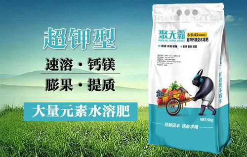 冲肥关键期 6招使用大量元素水溶肥,少量更可靠