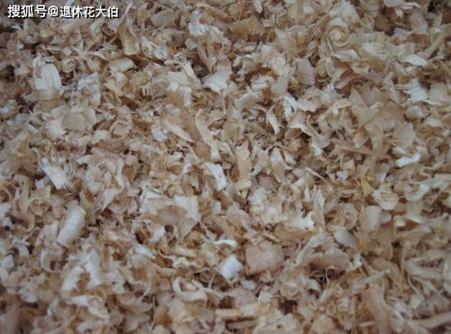 养花初期,不知道用什么土好 尝试这5样,结果好到超出想象