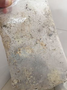 泥炭土怎样不发霉