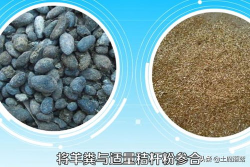 羊粪如何发酵 羊粪怎样发酵