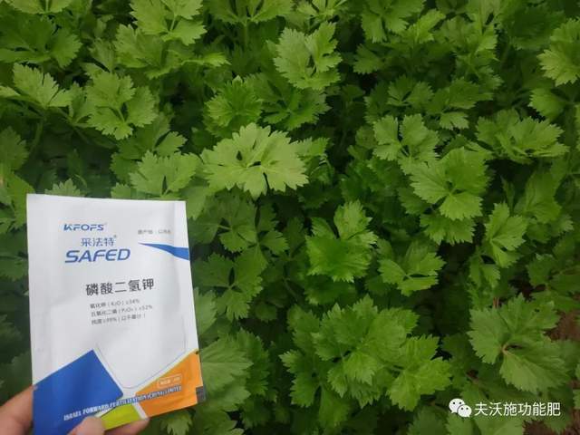 使用磷酸二氢钾的三大注意事项,速看