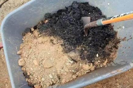 家中养花,配好土,养份足,几种小料掺一掺,扔土里就生根