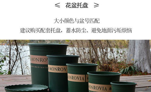 特价清仓 经典加仑盆 树脂塑料花盆 阳台种花种菜月季盆 加仑花盆