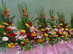 图 全深圳办公绿植租赁 鲜花租摆 园林绿化养护免费配送 深圳鲜花绿植