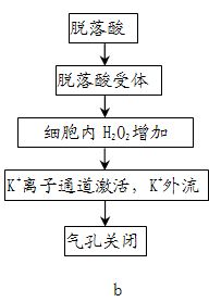 图a表示温度对某种植物的光合作用与呼吸作用的影响 以测定的产氧和耗氧速率为指标 图b表示脱落酸对植物气孔的张开度 气孔一般是由两个保卫细胞组成的 的调节机制 请作答
