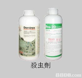 飞达杀虫消毒中心提供专业杀虫 清洁及消毒等服务